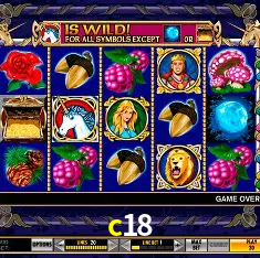 c18 Brasília - VIP Program